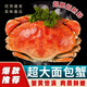 英國熟凍超大面包蟹深海捕撈蟹黃飽滿(mǎn)鮮活熟凍滿(mǎn)黃母蟹海蟹黃金蟹 (8兩-1.2斤)*1只
