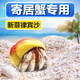 瘋狂石頭寄居蟹專用沙新菲律賓沙墊材魚缸造景沙子白細(xì)貝殼沙天然飼養(yǎng)底砂 寄居蟹專用沙【2斤】顆粒：2-6mm左右