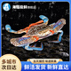 海蘊極鮮【活鮮】鮮活蘭花蟹 新鮮海南特產(chǎn)海螃蟹滿(mǎn)肉燒烤 200g -250g/只*3只