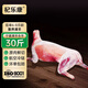 杞樂康 寧夏灘羊 30斤精品全羊整只羊肉年貨禮盒 全羊宴烤全羊 源頭直發(fā)