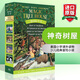 英文原版 神奇樹(shù)屋系列套裝 Magic Tree House 5-8盒裝 美國(guó)進(jìn)口初級(jí)章節(jié)書(shū)