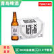 青島（TSINGTAO）尼卡希高端全麥白啤系列11.6度 330ml*24瓶裝 青島發(fā)貨 330mL 24瓶 整箱