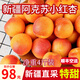 驕瑰 新疆小紅杏新鮮吊干杏鮮杏新疆水果當(dāng)季整箱阿克蘇吊干杏禮盒裝 樹上自然熟 4斤 特級(jí)果 順豐空運(yùn)直發(fā)