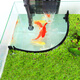 魚(yú)食投喂器魚(yú)缸投食圈喂食器水族箱投食器浮力投喂圈漂浮喂食圈器 款式2