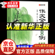 【官方正版】全5冊 作文金句800例小學(xué)正版 注音版 高分作文素材 作文金句800例自營店 小學(xué)生經(jīng)典作文范本 三四五六年級小學(xué)生作文大全寫人寫景記事與好詞好句好段適合三年級作文書三到五年級 作文金句