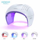 SHENDIAO led光譜儀紅藍光祛痘儀光子嫩膚儀美容院光動(dòng)力美容儀器家用光子嫩膚儀面膜導入儀