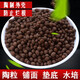 顧邁陶粒養花用花盆鋪面石頭裝飾顆粒土營(yíng)養液透氣花卉植物基質(zhì)育苗塊 中號空心陶?！?斤】