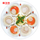富海錦鮮汁半殼蝦夷扇貝320g6只 無沙火鍋燒烤食材 海鮮水產(chǎn)貝類
