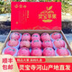 梓樂(lè )果河南三門(mén)峽靈寶蘋(píng)果寺河山SOD天然富硒紅富士脆甜孕婦寶寶水果 80mm-85mm中果15枚SOD標精美禮盒