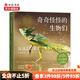 奇奇怪怪的生物們 帕特里克·鮑德 著 百余種珍稀物種 大開眼界 自然界 中信書店