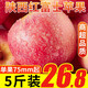 雪糖心 蘋(píng)果陜西新鮮紅富士蘋(píng)果 冰糖心蘋(píng)果 新鮮水果整箱脆甜  凈重4.5斤（75-80mm）