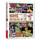 蝴蝶蘭栽培技術(shù)圖譜