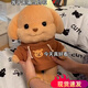 澳顏萊森貝兒貴賓犬玩偶大號毛絨玩具小鼻嘎狗狗玩具兒童生日禮物女旗艦 森貝爾小狗衛(wèi)衣款 【現(xiàn)貨秒發(fā)】 40cm