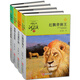 升級版沈石溪動物小說全集作品4冊 王妃黑葉猴 紅飄帶獅王 雄獅去流浪 一只獵雕的遭遇動物小說大王沈石