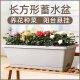 德沃多霍倫種菜花盆大號(灰色)家庭育苗盆長(cháng)方形種植多肉箱陽(yáng)臺種菜箱