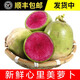 辰實(shí)（順豐）東北心里美蘿卜 新鮮綠皮紅心胭脂蘿卜蔬菜 5斤