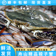 【活發(fā)】舟山梭子蟹新鮮特大野生海鮮海蟹飛蟹白蟹螃蟹順豐次日達 一級品5-7兩/只—凈重3斤（宴客款）