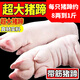 【順豐冷鏈】大豬蹄 整個大只豬前蹄 現(xiàn)殺土豬帶筋豬蹄豬腳豬手 大豬蹄5只裝【8兩-1斤/只】