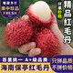 鑫果滋【順豐空運(yùn)】海南保亭7號紅毛丹 新鮮水果毛荔枝孕婦應(yīng)季熱帶水果 凈重2.5-3斤【S+級品質(zhì)】