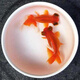 AIPHAROW金魚(yú)活體觀(guān)賞魚(yú)活體小金魚(yú)冷水魚(yú)金魚(yú)苗活體淡水國粹金魚(yú)寵物魚(yú) 紅龍晴4-6CM3條