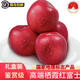 十月的味道順豐2024年國家地標(biāo)鑒賞級東方紅正宗煙臺(tái)棲霞紅富士禮盒水果生鮮 18枚11斤鑒賞級東方紅90-95mm