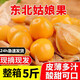 萊財多東北姑娘果精品應(yīng)季燈籠果水果新鮮當(dāng)季整箱黃菇娘果洋菇 凈重4.5斤精選裝