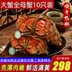 【活蟹】陽(yáng)澄清歆大閘蟹 鮮活特大螃蟹公蟹母蟹 海鮮水產(chǎn)年貨禮盒 精品全母蟹2.5-2.8兩 十只禮盒裝