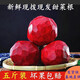 帆兒莊園新鮮甜菜根紅菜頭甜菜頭紅甜菜5斤裝現(xiàn)挖發(fā)貨蔬菜農(nóng)產(chǎn)品菜紅根 2.5kg
