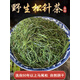 盛羿堂松針中藥材500g新鮮葉干長(cháng)白山中藥馬尾松特級干松針茶