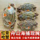 舟山紅膏嗆蟹生腌螃蟹腌制海鮮下酒菜鮮梭子蟹寧波特產(chǎn)三眼咸熗蟹 130-170克/只【3個(gè)】三眼蟹