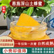恩施野生土蜂蜜深山農家土蜂蜜天然野百花蜜自然成熟孕婦冬蜜 恩施正宗野生液體土蜂蜜2斤裝