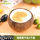 【順豐冷鏈】網(wǎng)紅黃金椰粒椰子凍正宗海南特產(chǎn)新鮮爽滑椰奶凍果凍 兩顆椰子凍