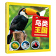 宇宙鳥(niǎo)類(lèi)書(shū)籍大百科 科普畫(huà)冊關(guān)于小鳥(niǎo)的書(shū)昆蟲(chóng)科普大全幼兒早教認知太空宇宙奧秘知識書(shū)籍天文圖片繪本海洋 鳥(niǎo)類(lèi)王國