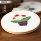 云創(chuàng  )典  手工刺繡diy材料包兒童學(xué)生歐式布藝創(chuàng  )意十字繡初學(xué)掛畫(huà)含繡框 紅艷艷 約15*15cm