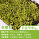 石光小站 苔蘚 吸水石上水石盆景盆栽裝飾青苔苔蘚植物微景觀生態(tài)瓶鮮活仿真鋪面 星星蘚1盒10.5*7.5cm