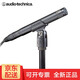 鐵三角（Audio-technica） AT2031 電容麥鋼琴二胡古箏吉他人聲樂(lè)器話(huà)筒 at2031 標(biāo)配