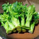 云南新鮮水果清芹芽可生吃的芹菜當(dāng)季現(xiàn)采現(xiàn)發(fā)新鮮網(wǎng)紅菜綠色青菜 500g