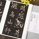 張猛龍碑 全文放大版 歷代碑帖經(jīng)典單字放大本 簡(jiǎn)體旁注 北魏魏碑楷書碑帖書法毛筆字帖 安徽美術(shù)出版社