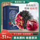 初仁堂南京同仁堂黑果枸杞桑葚玫瑰茶黑枸杞玫瑰花茶花草茶沖泡茶包 2盒裝【5g*48袋-超劃算】