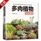 家庭種花養(yǎng)花鑒賞圖鑒認(rèn)識常見花草植物花卉書籍一花一世界一草一天堂身邊花草樹木速查圖鑒 多肉植物完全圖鑒 定價49.8