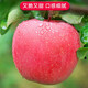 靜寧蘋果【順豐到家】甘肅紅富士蘋果 靜寧蘋果精品 新鮮蘋果水果 18枚80中大果彩箱裝