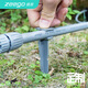 植客（zeego）6061兩用地釘主管毛管固定地插微噴灌滴灌系統(tǒng)自來水管配件 兩用地釘(30個裝)