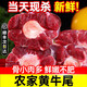 【順豐包郵】牛尾巴內(nèi)蒙古原切牛尾骨新鮮整根切煲湯牛骨散養(yǎng)黃牛 原切牛尾1000g