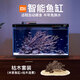 米家（MIJIA）小米米家智能生態(tài)魚缸+畫法幾何南美風(fēng)枯木造景