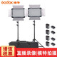 神牛（Godox） LED500補(bǔ)光燈攝影燈led常亮影視燈雙色溫?cái)z像燈影室燈便攜式婚慶DV攝像采訪 LED兩燈套裝+電池+套裝包 變色版（雙色溫）