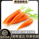 槿饈去葉迷你手指蘿卜500g 新鮮胡蘿卜寶寶可食用沙拉食材 250g去葉手指蘿卜