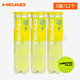 HEAD海德網(wǎng)球TOUR黃金球TEAM專(zhuān)業(yè)比賽訓練網(wǎng)球高彈耐打網(wǎng)球 TEAM4粒裝-三罐