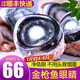 漁人百味 金槍魚眼睛肉500g 新鮮低溫大目冷凍海鮮水產(chǎn)日本料理刺身 金槍魚眼500g/份