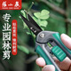 張小泉園藝剪刀剪樹(shù)枝摘果修枝水果鮮花果樹(shù)摘瓜蔬果園剪葡萄專(zhuān)用 園藝剪(直剪160mm)