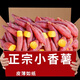 潤味來臨安天目山小香薯 現(xiàn)挖新鮮蔬菜番薯小紅薯地瓜小番薯 3斤 精選裝
